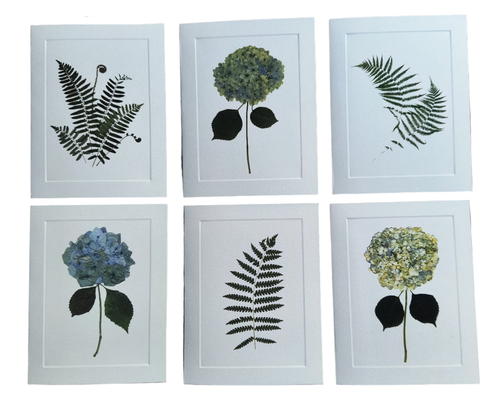 Floral Greeting Card Set