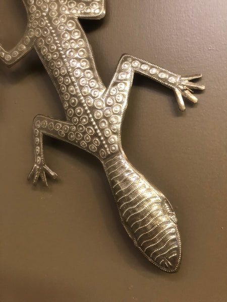 Languid Gecko/Lizard